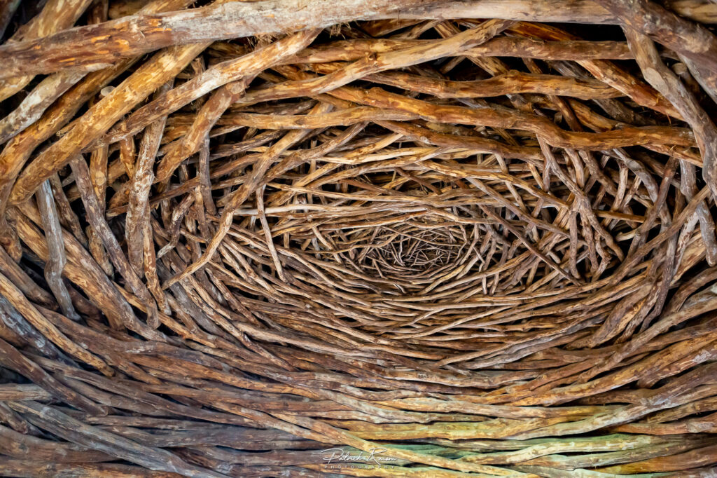 Wooden ceiling